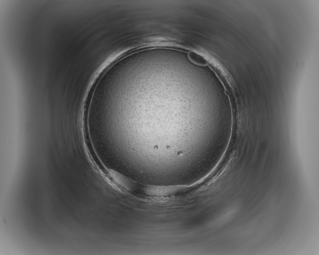 X0000116641333200912210954