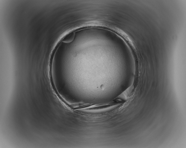 X0000116641334200912210954