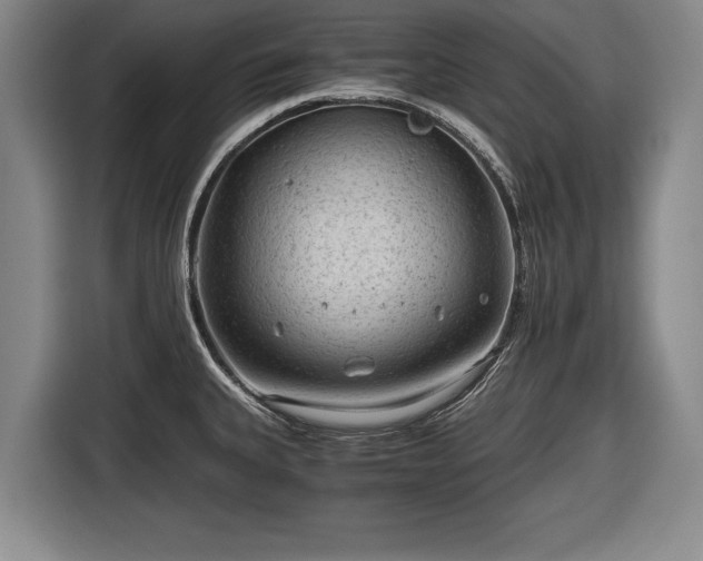 X0000116641335200912210954