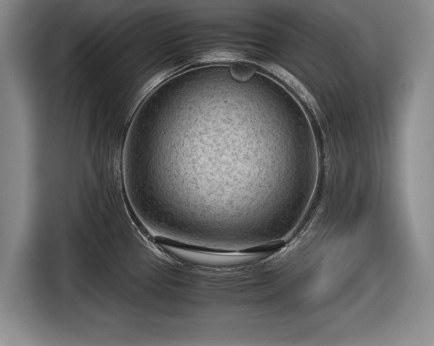 X0000116641337200912210954