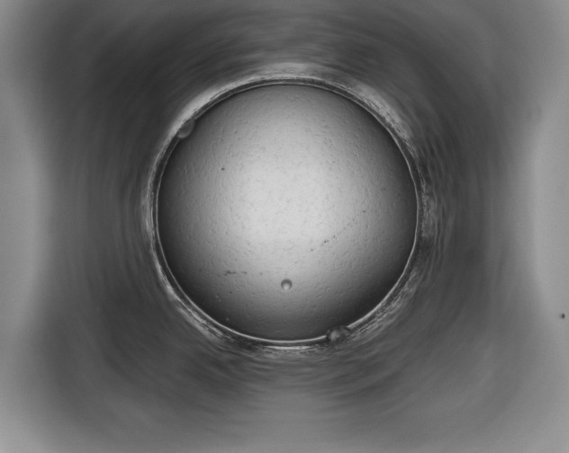 X0000116641342200912210954