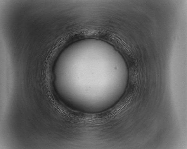 X0000116641345200912210953