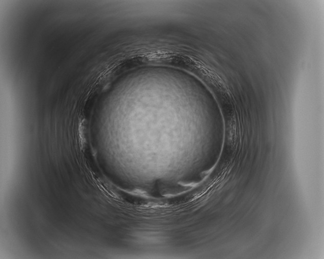 X0000116641346200912210953