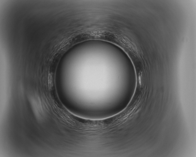 X0000116641347200912210953