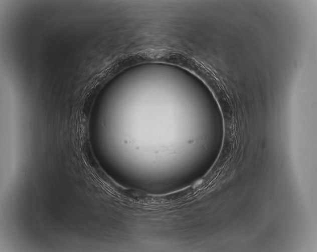 X0000116641349200912210953