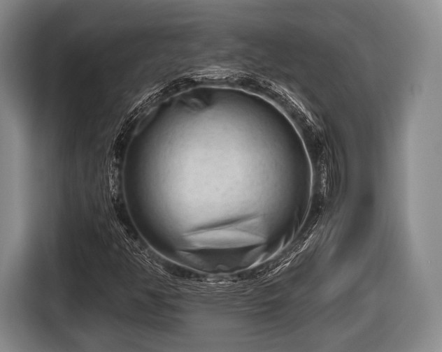 X0000116641350200912210953