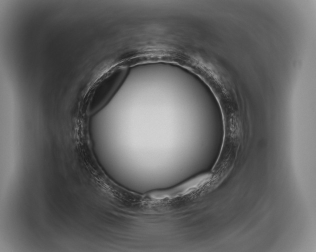 X0000116641352200912210953