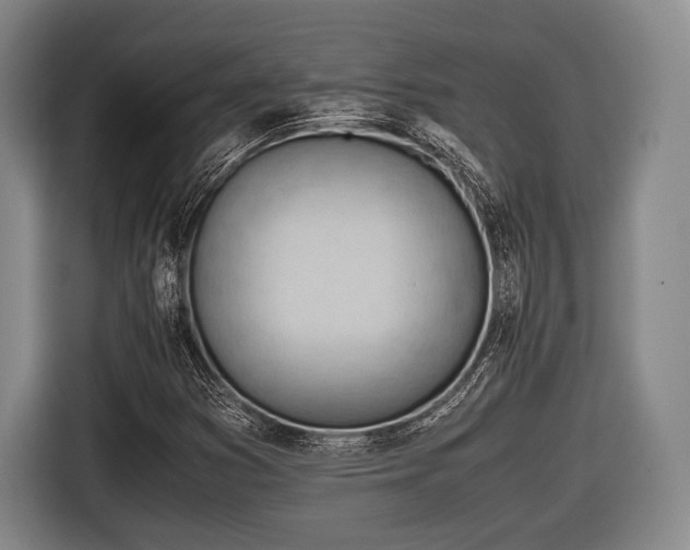 X0000116641353200912210953