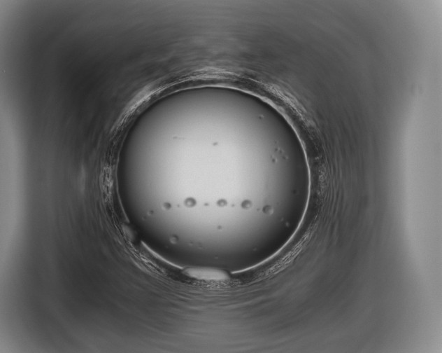 X0000116641355200912210953