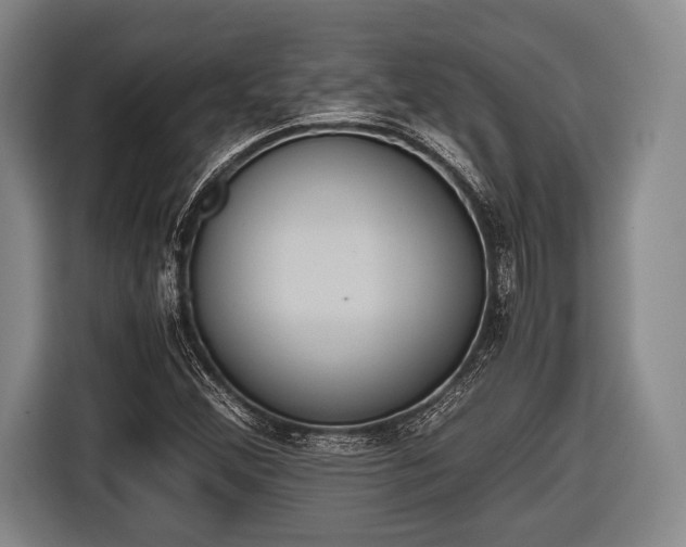 X0000116641356200912210953