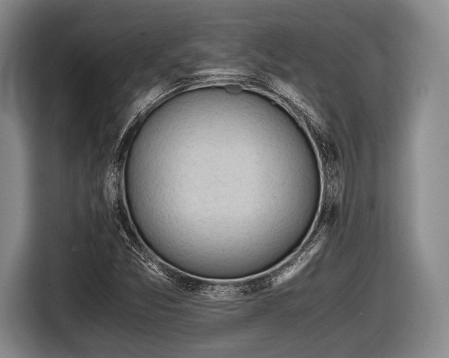 X0000116641357200912210953