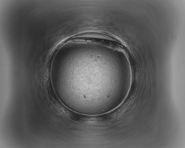 X0000116641359200912210953