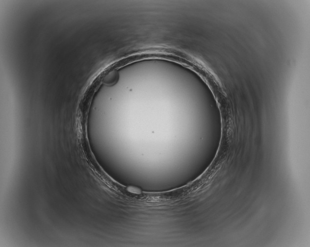 X0000116641360200912210953