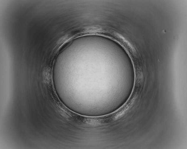 X0000116641361200912210953