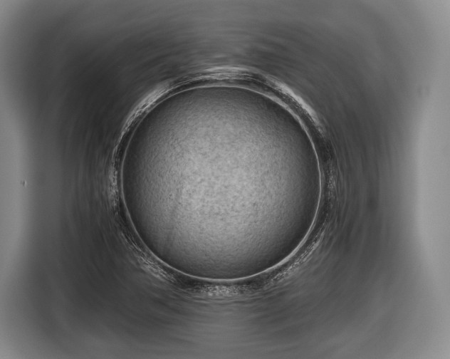 X0000116641362200912210953