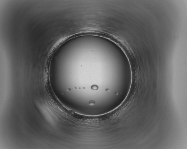 X0000116641363200912210953