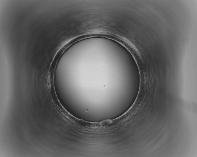 X0000116641364200912210953