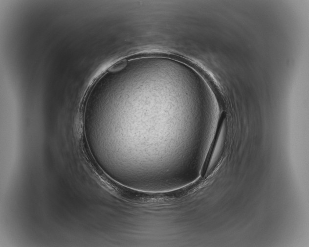 X0000116641367200912210953