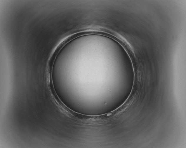 X0000116641368200912210953