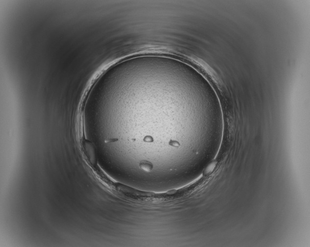 X0000116641371200912210953