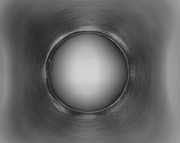 X0000116641372200912210953