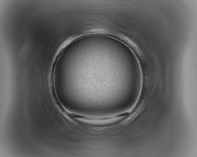 X0000116641373200912210953