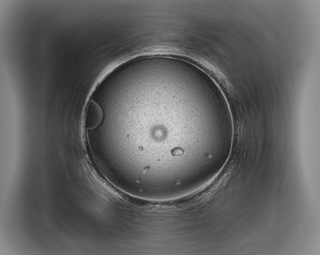 X0000116641374200912210953