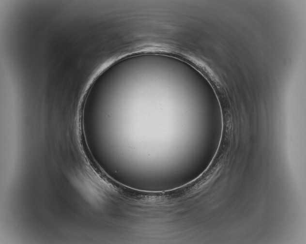 X0000116641375200912210953