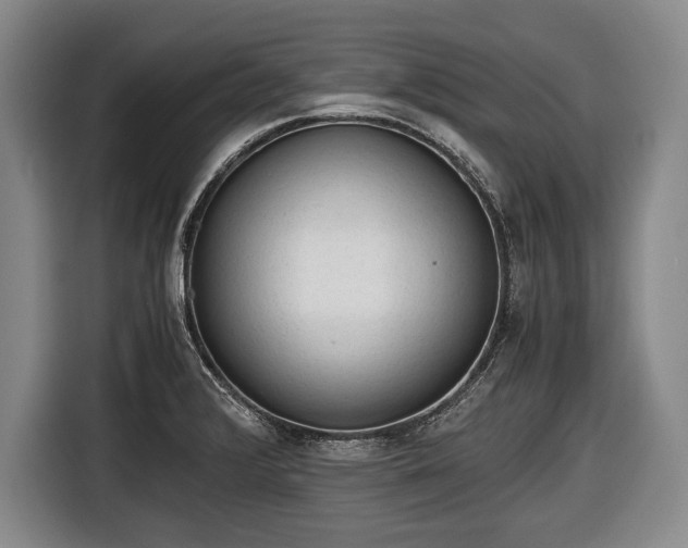 X0000116641376200912210953