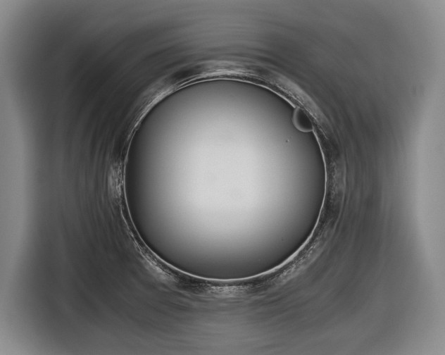 X0000116641377200912210953