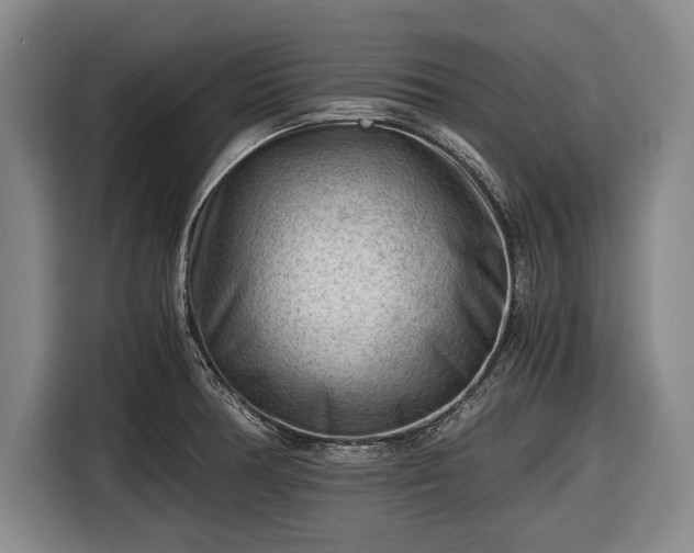 X0000116641378200912210953