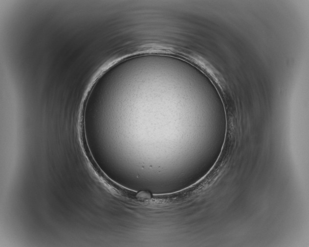 X0000116641379200912210953