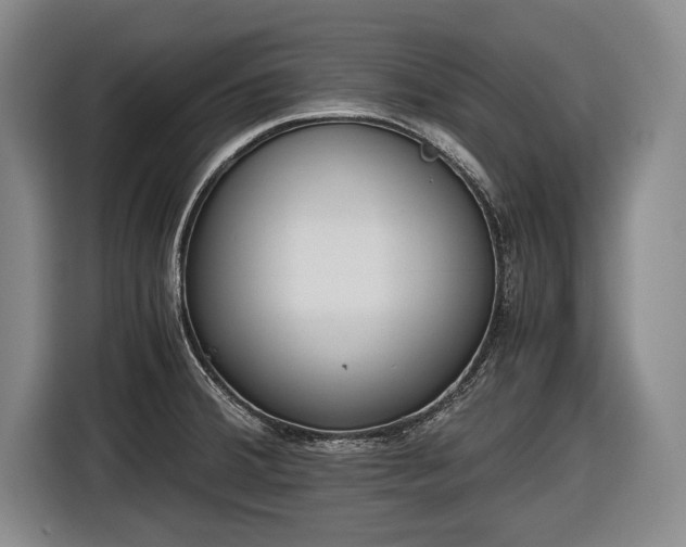 X0000116641380200912210953