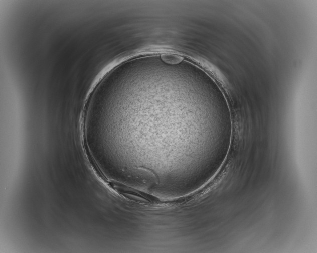 X0000116641382200912210952