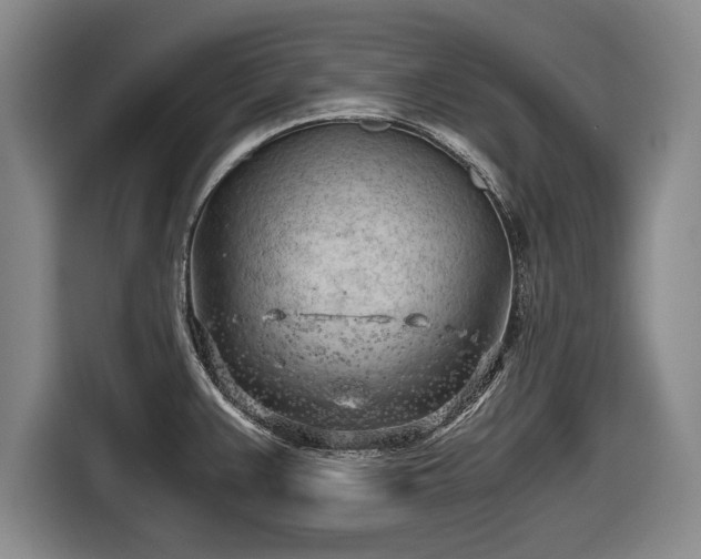 X0000116641383200912210952