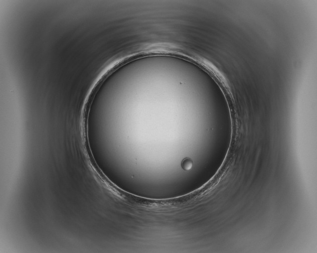 X0000116641384200912210952