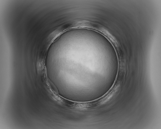 X0000116641385200912210952