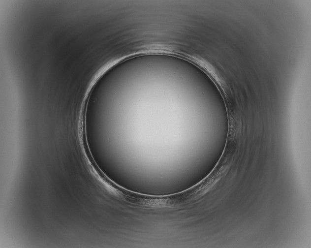 X0000116641387200912210952