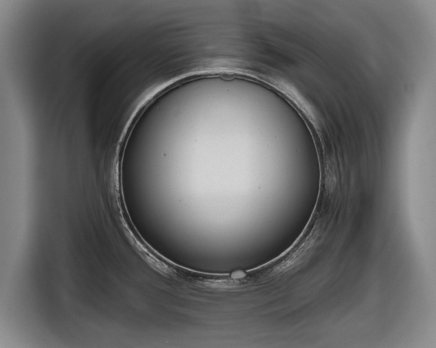 X0000116641388200912210952