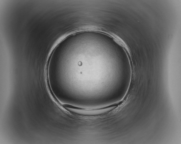 X0000116641389200912210952