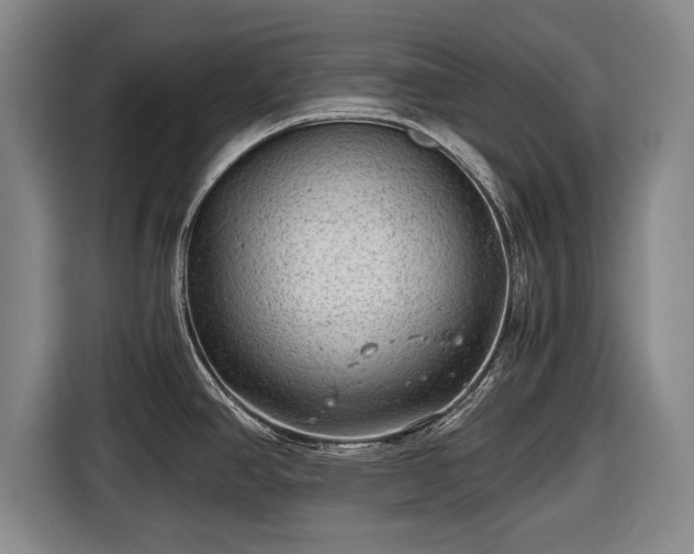 X0000116641390200912210952