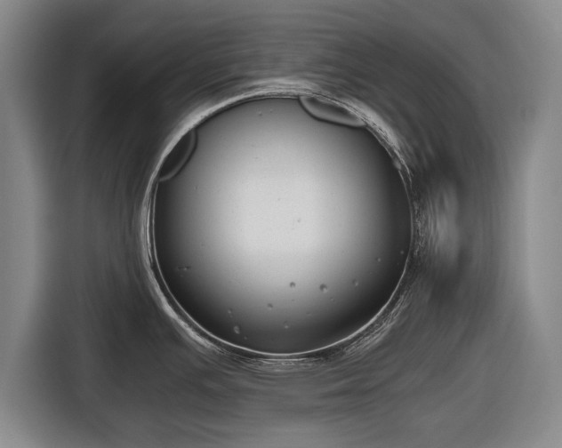 X0000116641391200912210952