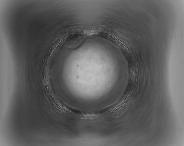 X0000116641393200912210952