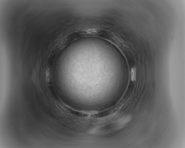 X0000116641395200912210952