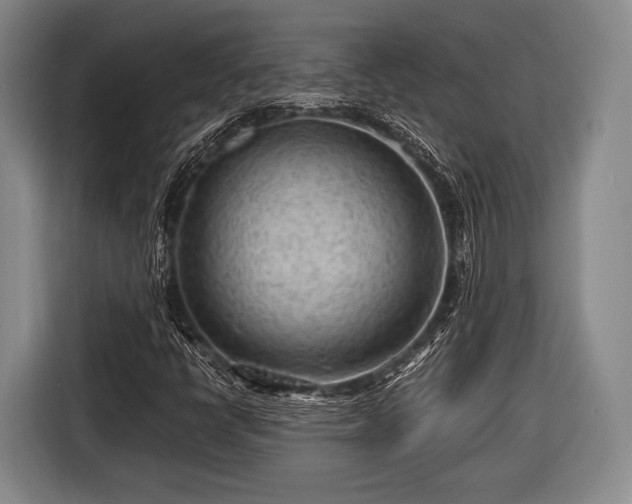 X0000116641398200912210952