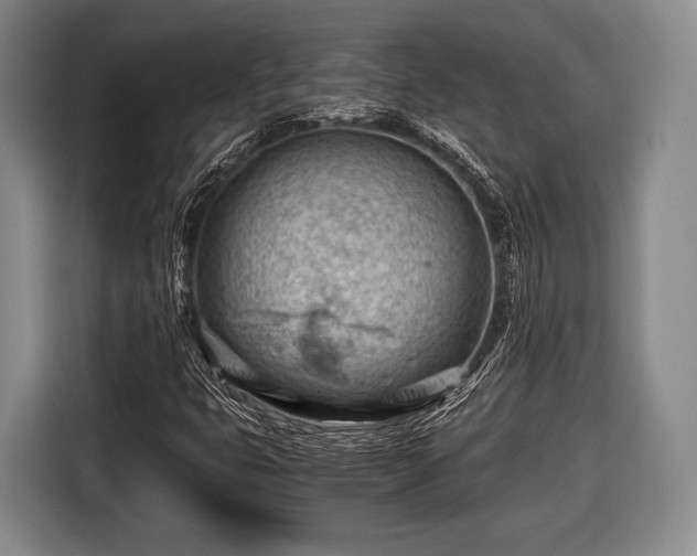 X0000116641399200912210952