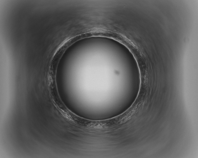 X0000116641400200912210952