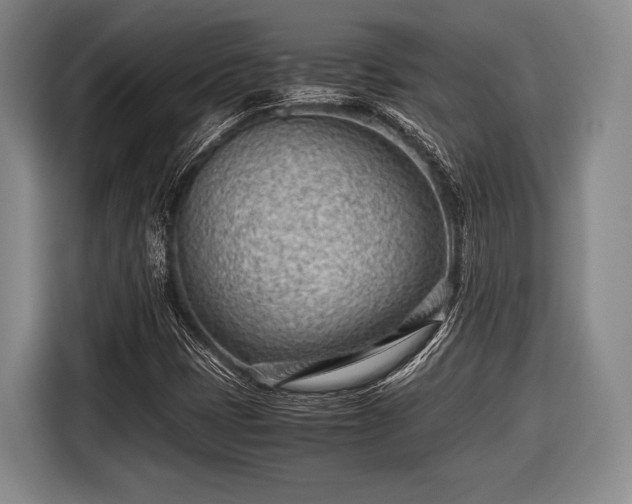 X0000116641401200912210952