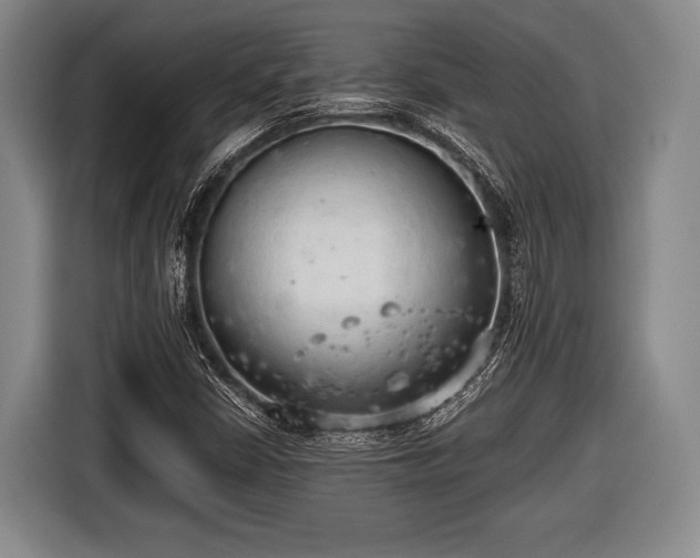 X0000116641402200912210952