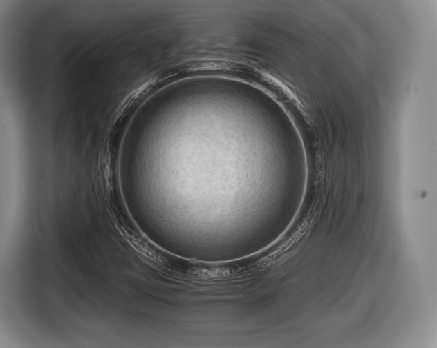 X0000116641403200912210952